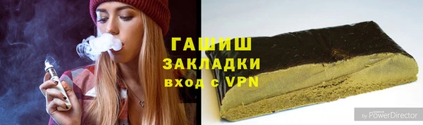 гашик Алексин